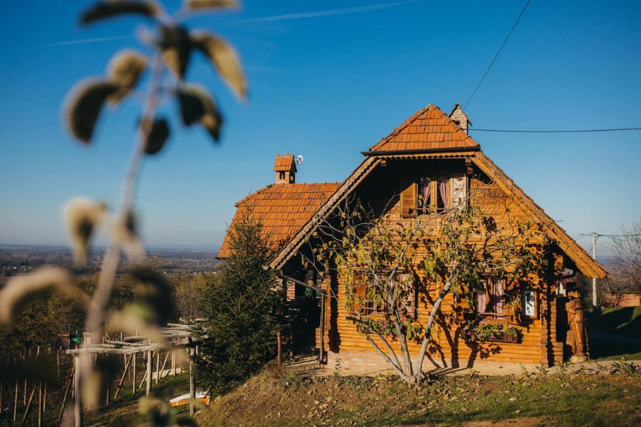 Holiday Home Wine & Relax Sveti Martin Na Muri Gornji Koncovcak Esterno foto
