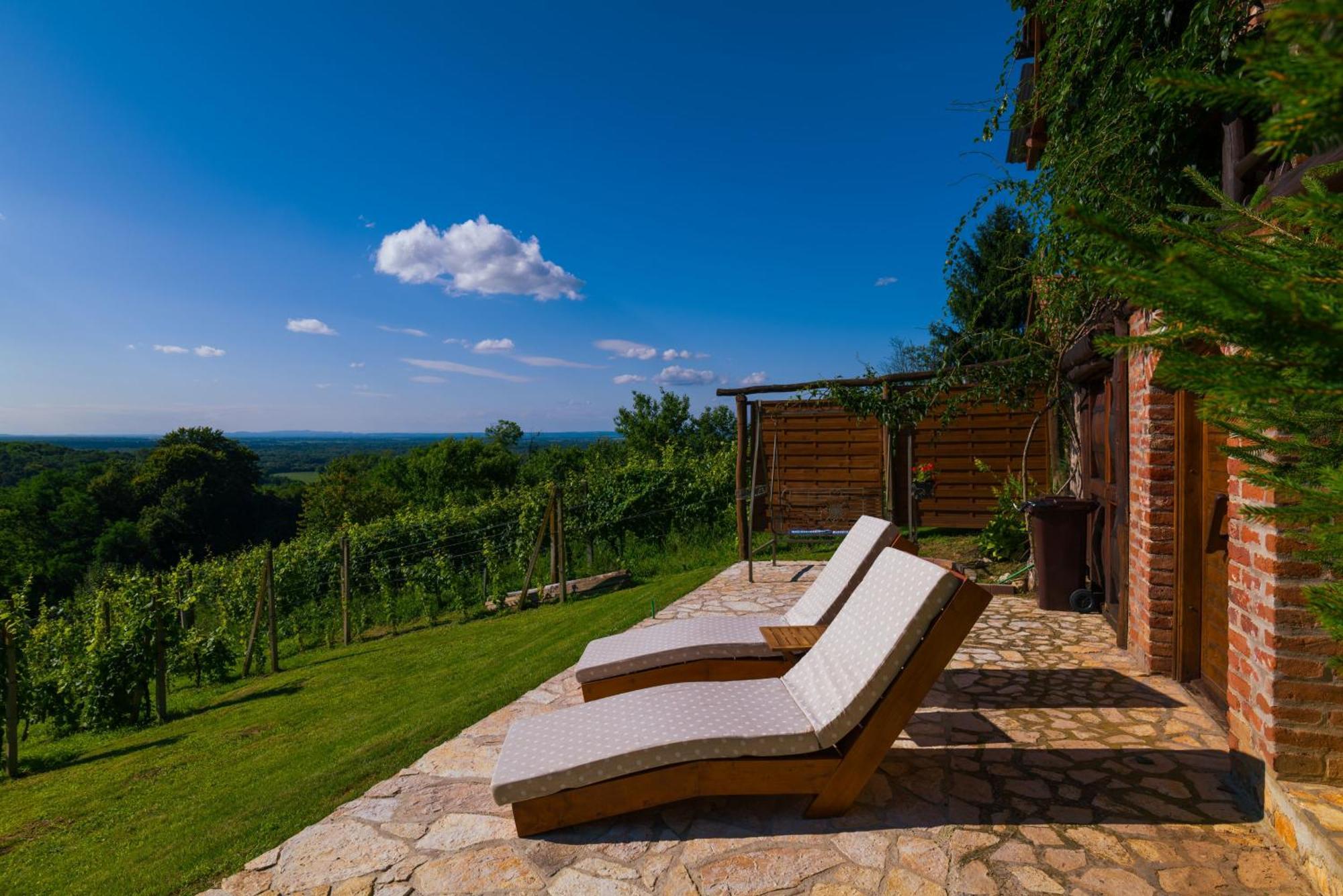Holiday Home Wine & Relax Sveti Martin Na Muri Gornji Koncovcak Esterno foto