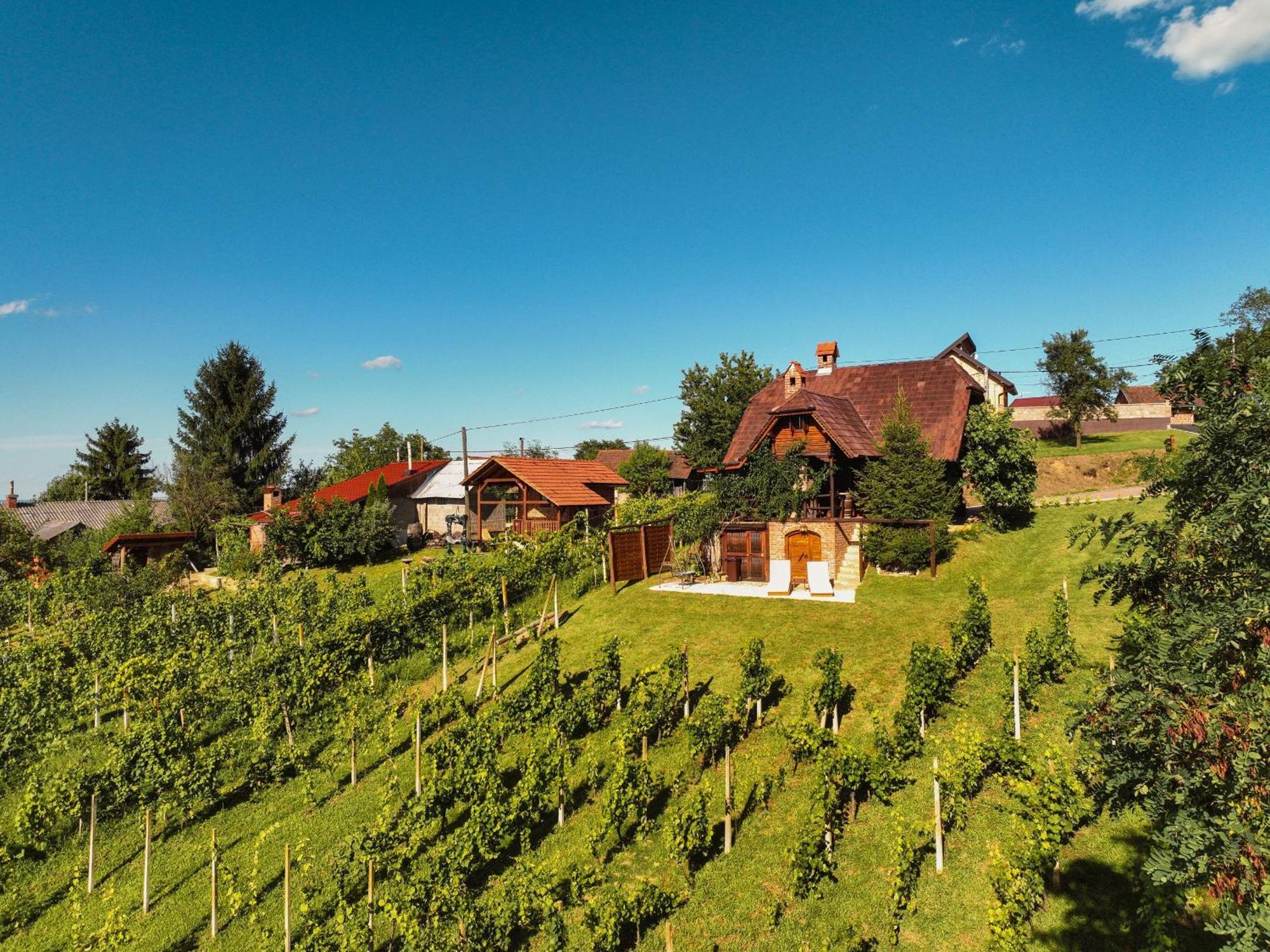 Holiday Home Wine & Relax Sveti Martin Na Muri Gornji Koncovcak Esterno foto