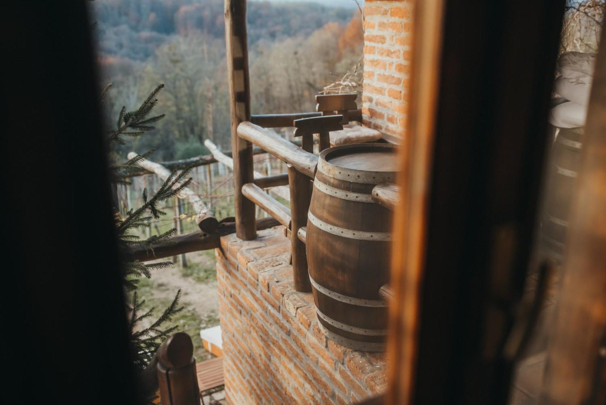 Holiday Home Wine & Relax Sveti Martin Na Muri Gornji Koncovcak Esterno foto